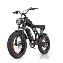 Bicicleta eléctrica 1000W