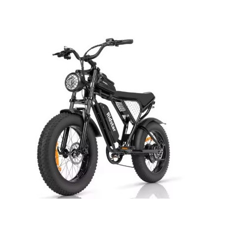 Bicicleta eléctrica 1000W
