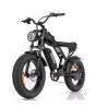 Bicicleta eléctrica 1000W