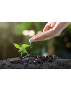 Sostenibilidad Ambiental